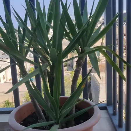 Comfortable Vacation With Great Views