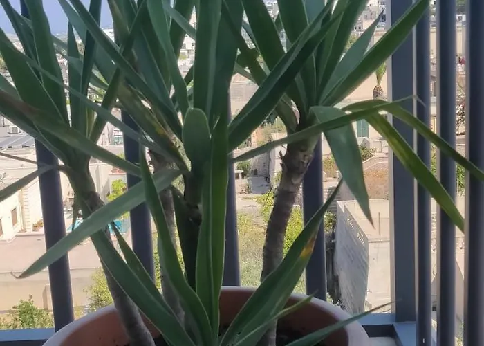 Comfortable Vacation With Great Views